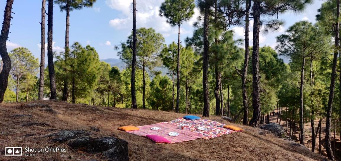 Seed At Queens Meadows, Ranikhet Exterior photo